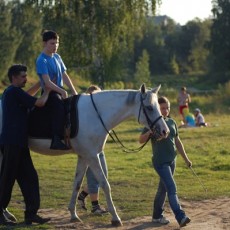 Кое-что о кентаврах