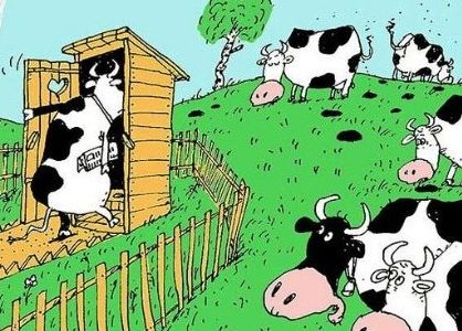 Ученые приучают коров к туалету
