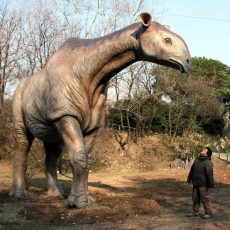 После исчезновения динозавров звери поумнели не сразу