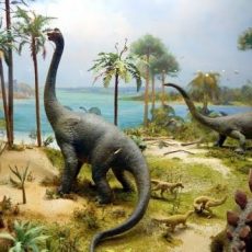 Тираннозавры и бронтозавры были тёплыми на ощупь