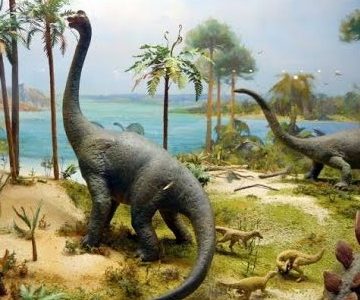 Тираннозавры и бронтозавры были тёплыми на ощупь