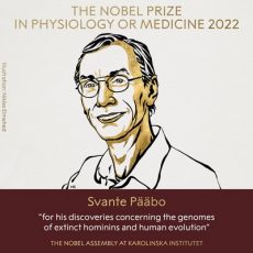 Нобелевскую премию по медицине получил первооткрыватель нового вида людей