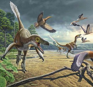 Звери начали захватывать землю ещё при динозаврах